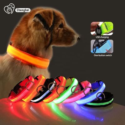 Beli Hundehalsband Lampu Kerah Anjing Nylon XS XL LED Rechargeable Kerah Hewan pembuatan online
