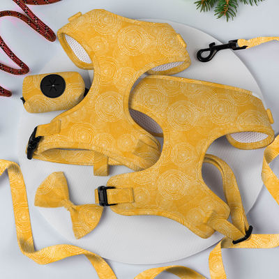 Beli Komfortable Yellow Leash Collar Harness Set Neoprene Puppy Collar Dan Lead Set pembuatan online