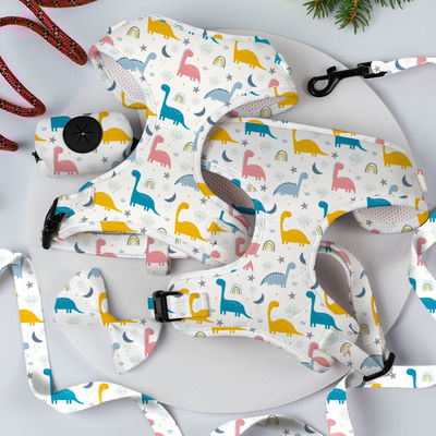 Beli Reversible Small Dog Harness And Leash Set Fashion Dog Walk Set mewah pembuatan online