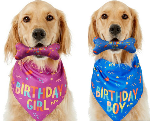 Beli Anjing Ulang Tahun Diisi Peluang Bandana Tulang Mengunyah Mainan Set Pet Custom Printed Bandana pembuatan online