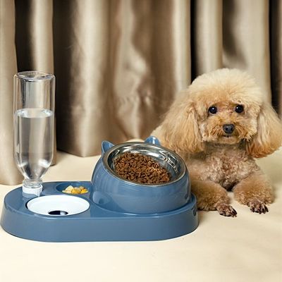 Beli Pet Bowls Feeders 4 in 1 Kombinasi Baja Ringan / Keramik Anjing Kucing dalam Layar LCD pembuatan online