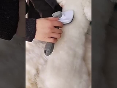 Blue Self Cleaning Dog Brush Dog Hair Deshedder Dengan Fungsi Pijat