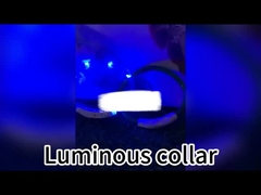 120cm Led Dog Leash USB yang dapat diisi ulang Lampu Dog Leash Pribadi