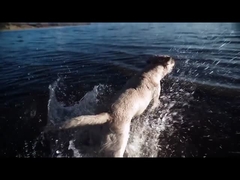 Dog Chew Toy ETPU Solid Ball Interactive untuk mainan dan aksesori hewan peliharaan