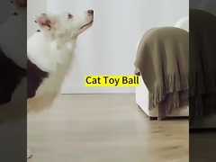 Bahan silikon ABS untuk hewan peliharaan Pelatihan anjing yang bergerak sendiri Mainan kucing untuk hiburan dalam ruangan