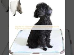 Dog Pee Pad Foldable Potty Training Holder Portable Silicone Tray untuk pelatihan anak anjing
