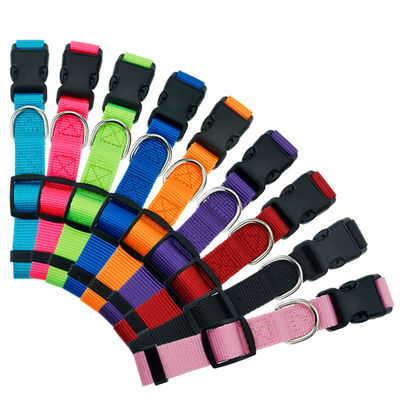 Kerah Anjing Nylon Aman Nyaman Pengelolaan Hewan peliharaan warna bermacam-macam kustom