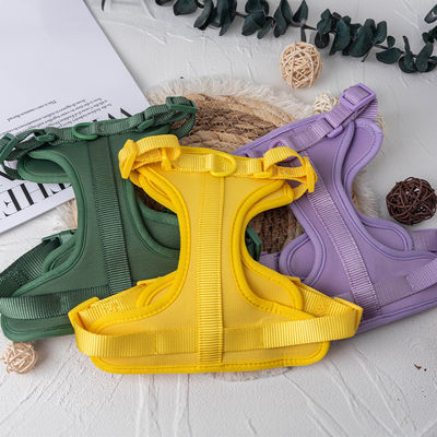 Neoprene Personal Pet Dog Harness Leash and Collar Set untuk Fit Adjustable S/M/L