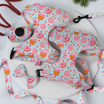 XS Dog Harness And Leash Set Dekorasi Sublimasi Scarf Cat Harness Set