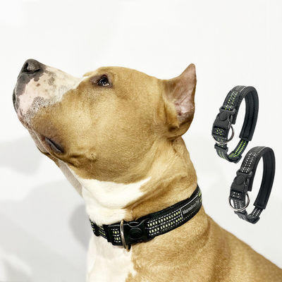 Hitam berkilau Collar anjing bercahaya Custom SM L LED Light Up Collar anjing