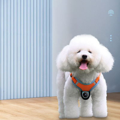 Kamera Aksi Jempol Magnetik Mini Rekaman Video Kamera Anjing Wireless
