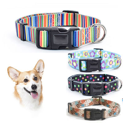 Collar dan tali anjing taktis yang dapat disesuaikan