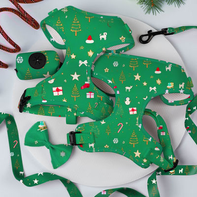 Desainer Custom Personalized yang Populer tanpa Tarik Kerah Adjustable Leash Bow Tie dan Bandana Set Harness Anjing Reversible