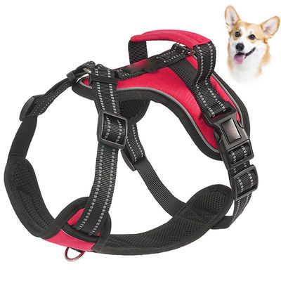 Pemberantasan ledakan refleksif untuk anjing menengah dan besar di Chengbei Special Dog Chest Strap