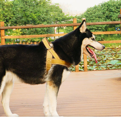OEM Odm Custom Asesoris Anjing Tali Dan Harness Kraal Desainer Taktis Custom Keamanan Anjing Anjing Harness Set Anjing Anjing Harness