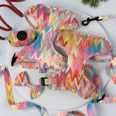 Neoprene Custom Color Dog Harness Sets dengan Desainer Mewah Metal Buckle Leash dan Collar
