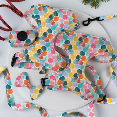 XS S M L XL Puppy Harness Dan Leash Set Air Mesh Soft Neoprene Collar Dan Lead Set