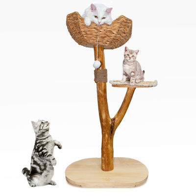 Pohon Kucing Desain Unik Kayu Alami Menara Kucing Mudah Mendaki Kucing Kecil