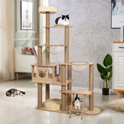 Kucing Aktif Bermain Mainan Rumah Tinggi Bertingkat Pohon Aktivitas Kucing dengan Pos Goresan Sisal Kayu Aktivitas Kucing Rumah Main