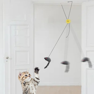 Cat Feather Toy Retractable Teaser Hanging Interactive Indoor Cats OEM/ODM Diterima