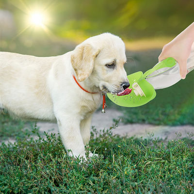 Pet botol air lipat portabel untuk petualangan di luar ruangan Semua musim Pet memberi makan air