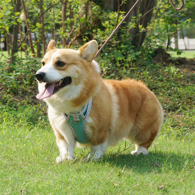 Nama